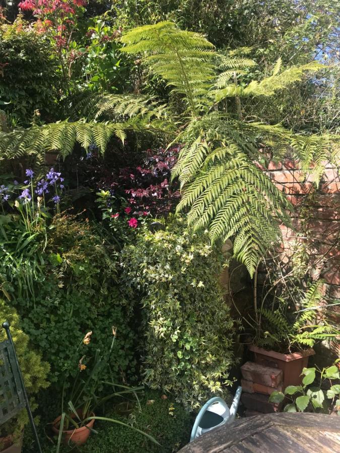 1920'S House. Private En Suite Sitting Room . Dog Friendly Teignmouth Εξωτερικό φωτογραφία